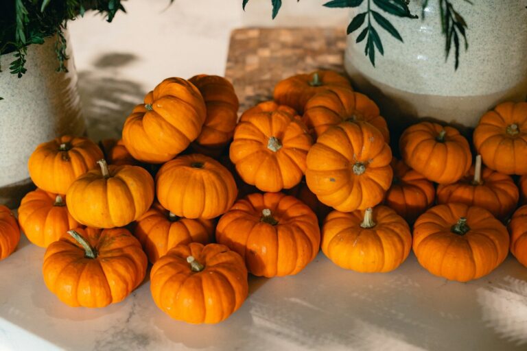 a table topped with lots of orange pumpkins
